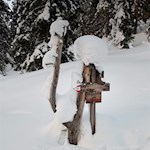 Der Weg Nr. 7A führt zur Senneshütte