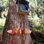 Auf dem Rückweg von der Joggelealm kann man auch den Weg Nr. 24C einschlagen