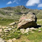 Schließlich zweigt der Wanderweg Nr. 7 rechts ab