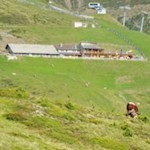 Die familienfreundliche Rossalm auf der Plose