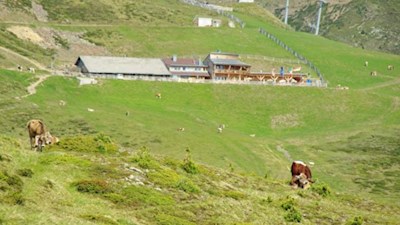 Die familienfreundliche Rossalm auf der Plose