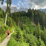 Durch den Wald zum Mittersee