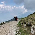 Der Weg Nr. 622 führt zur Malga Campo