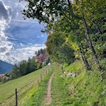 Der Panoramaweg Welschnofen führt durch schöne Wiesen