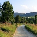 Almidyll wie im Bilderbuch: auf der Villanderer Alm