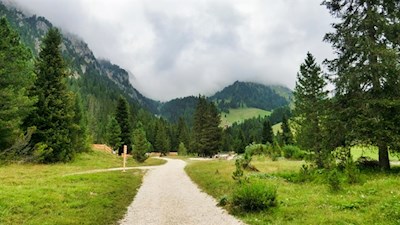 The first part of the trail is partly level, partly gently uphill