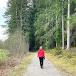 Sanft zieht sich der LandArt-Weg durch den Wald