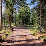 Il sentiero si snoda dolcemente fino alla malga Lieg Alm.