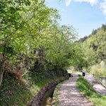 Mit den Wassern des Maiser Waales werden die umliegenden Obstwiesen und Felder bewässert