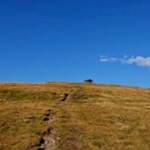Vom Gabler führt ein schmaler Wanderpfad durch die weiten Bergwiesen