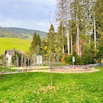 Der Kurpark in Niederdorf wartet mit unzähligen Spielmöglichkeiten auf