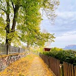 Sanfte Wanderung auf dem Ritten