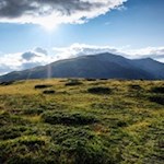 Der Gabler im Schein der untergehenden Abendsonne