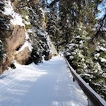 Die sanfte und doch schwungvolle Rodelbahn von der Stadlalm