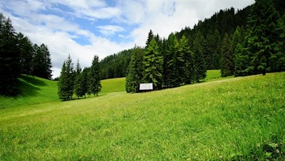 Durch ein duftendes Blumenmeer in Richtung Putzalm