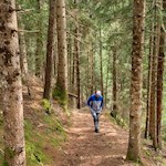 Sanft bahnt sich der Rundwanderweg seinen Weg