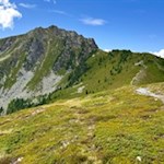 Oberhalb der Grente Alm zieht sich der Weg recht sanft zum Gipfelaufbau des Rammelstein