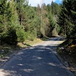 Die ersten zwanzig Gehminuten führen über eine asphaltierte Straße zum Waalweg