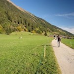 "Es gibt Quellen der Freude, die nie versiegen: Die Schönheit der Natur, der Tiere, der Menschen, die nie aufhört." (Tolstoi)