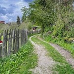 Leichte Wanderung um Lajen