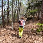 Im Schatten hoher Bäume nach Kohlern