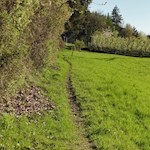 Durch grüne Wiesen zurück nach Völs