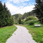 Zuletzt geht der schmale Waldsteig wieder in einen breiten Weg über