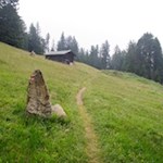 Der Weg Nr. 4 führt durch Wald und kleine Lichtungen