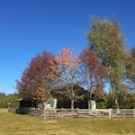 Der Herbst taucht die Landschaft in die schönsten Farben