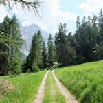 Anstieg in Richtung Ciampcios Hütte