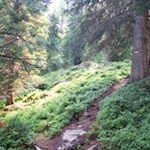 Die Wanderung auf die Mittagsspitze ist gut markiert