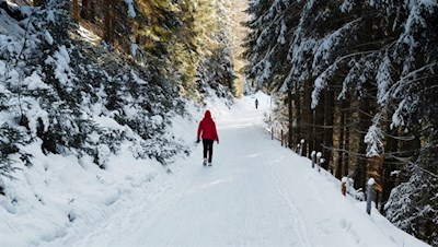 Winterwanderung zur Hofstatt Alm