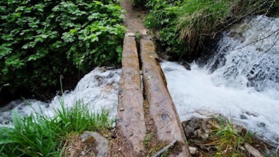 Der Jägersteig überquert kleine Bächlein