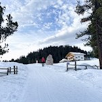 In einer idyllischen Lichtung liegt die Glatsch Alm 