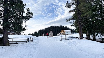 In einer idyllischen Lichtung liegt die Glatsch Alm 