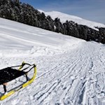 Rodelbahn Klausner Hütte