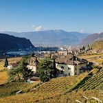 Rund um Bozen gedeihen erlesene Weintrauben