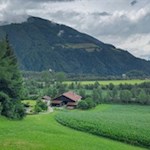 Auf dem Weg Nr. 24B hinab zum Bachdamm