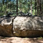 Längs des Franziskusweges zeichnen suggestive Kunstwerke den Sonnengesang nach