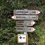 Der Weg zur Lanzwiesenalm ist gut ausgeschildert