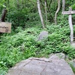 Längs-des-Partschinser-Sagenweges-trifft-man-auf-geheimnisumwitterte-Schalensteine