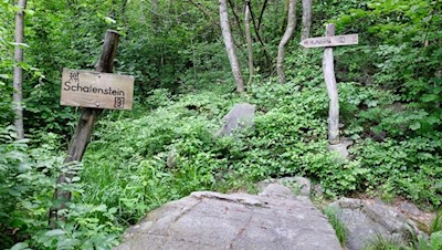 Längs des Partschinser Sagenweges trifft man auf geheimnisumwitterte Schalensteine 