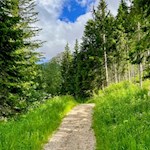 Durch Wald und Wiesen zur Malga Secine