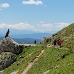 Der imposante Bronzeadler ist Theodor Christomannos gewidmet