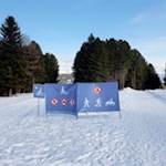 Der erste Teil des Weges verläuft parallel zur Rodelbahn