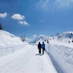 Winterwandern auf der Plätzwiese