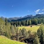 Il Setsas fa capolino da dietro le cime degli alberi