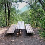 Auf dem Weg zur Leuchtenburg laden Bänke zu einer kleinen Verschnaufpause ein