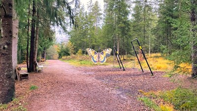 Stationen mit anregenden Spielen auf dem Wald-Wild-Wunder-Weg