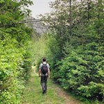 Durch den Wald zurück nach Tiers